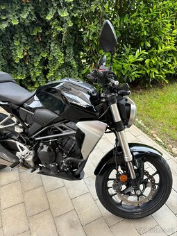 HONDA CBF 300 NA - 4