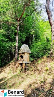 CHATA NA PREDAJ, BREŽANY, LEN 15 km OD PREŠOVA, 1200m2 ZÁHRA - 4