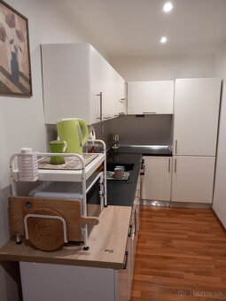 Prenájom 1 izbového bytu - 4