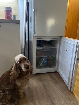 Plne funkčná chladnicka s mraznickou - 4