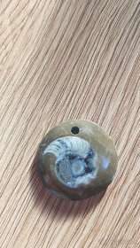 Skameneliny + amonit miska - 4