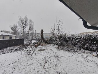 Darujem topoľové drevo - 4