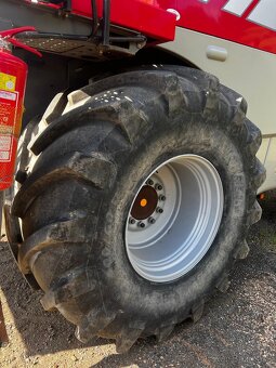 Massey Ferguson Hybrid Delta 9280 - 4