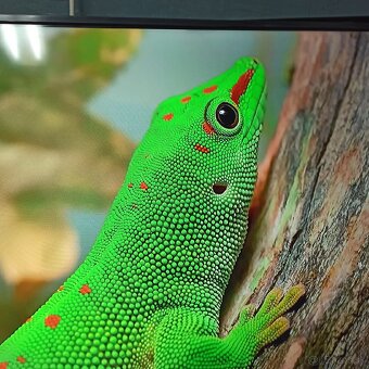 Thomson 4k Android smart tv 55(139) - 4