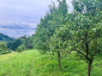 Pozemok s prechodom priamo do lesa - 4