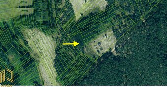 LESNÉ POZEMKY 15.563m2, BORSKÝ MIKULÁŠ, okr. SENICA - 4
