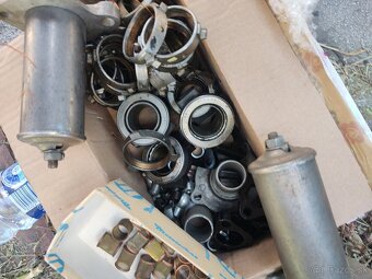 Felicia, Octavia, Spartak - 4