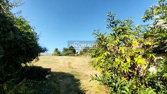 HALO reality - Predaj, rodinný dom Naháč, s garážou, pozemok - 4