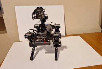 Detský robot, Robotický pes - 4