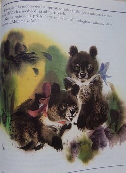 O Haríkovi a Bilovi, dvoch kamarátoch - 4