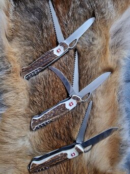 Victorinox 130mm (wenger) paroh - 4