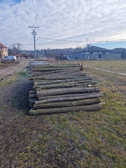 Agátové koly, stlpy - 4