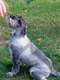 Krytie Bradáč stredný - 4