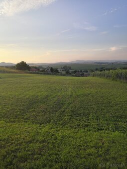 Vinica s hajlochom, Vrable - 4