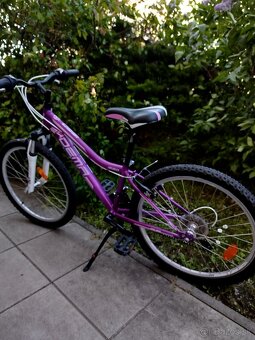 Dievčenský bicykel DEMA - 4