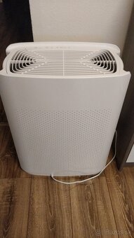 Halo & Max Purifier od WYND - 4