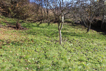 EXKLUZÍVNE-SPEKTRUM REALITY- Na Predaj  záhradná chatka s po - 4