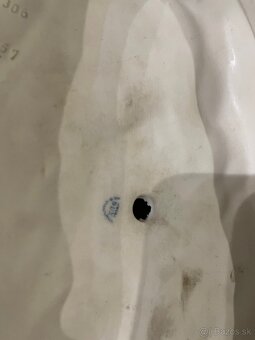 Royal dux - poľovnícky pes - 4