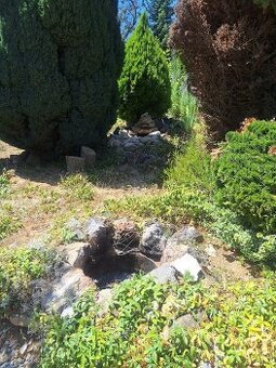 Murovaná záhradný chata, Vinohrady, NMnV - 4