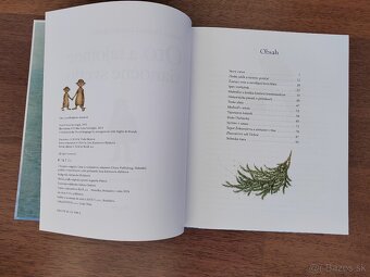 Oto a tajomné vianočné svetlo - NOVÁ - 4