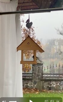 Krmitko pre vtaciky - Vtacia Budka - 4