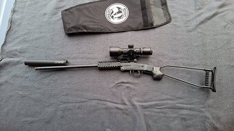 chiappa little badger 17 HMR - 4