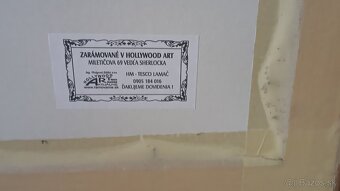 OBRAZ 100cmx70cm - IBA OSOBNÝ ODBER - 4