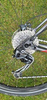 Specialized Rockhopper 29" - 4
