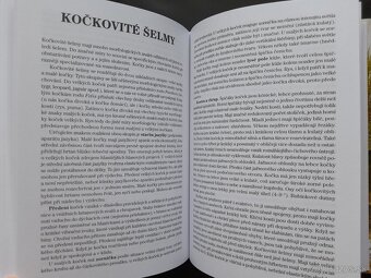 Poľovníctvo - 4