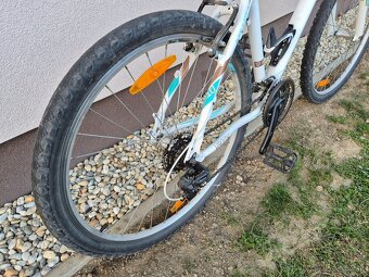 Kellys Vanity 10 - 4