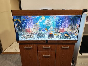 Predám akvárium - 4