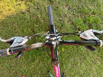Dema damsky bicykel Pegas 26 - 4