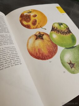Predám Atlas chorôb a škodcov ovocných drevín a viniča - 4
