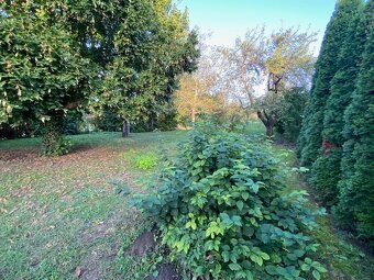 Predaj- 4 izbový dom s krásnou záhradou, Šurany - 4