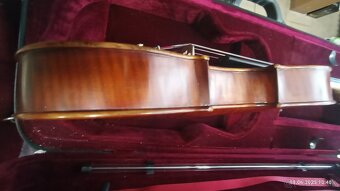 PREDAM OROFESIONALNU VIOLU - 4