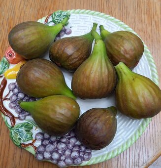 domáce džemy marhuľový, černicový, malinový, slivkový - 4