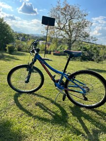 kellys kiter ‘24 Detsky bicykel - 4