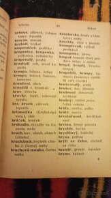 Starý cesko_slovnsky slovnik - 4