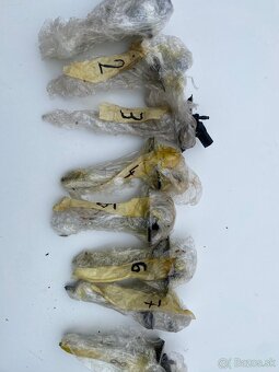 AUDI A8 náhradné diely - motor - vstrekovače atd - 4