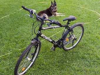 Horský bicykel - 4