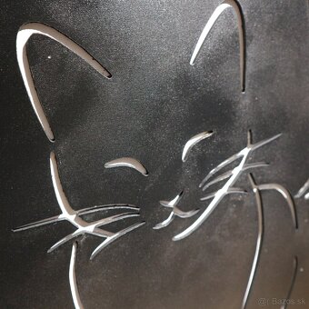 3D Obraz Walking Cat - 4