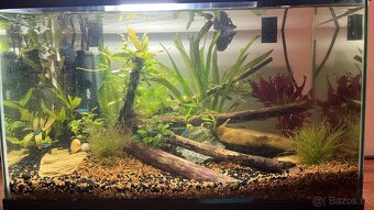 Akvarium cca 30 litrov kompletnee vybavene - 4