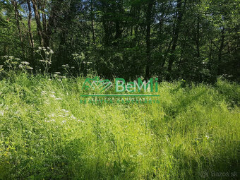 POZEMOK s prekrásnymi výhľadmi...Vyhne (057-14-DAR) - 4