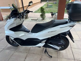 HONDA PCX 125 - 4