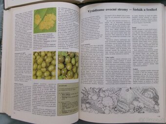 Jar, Leto, Jeseň, Zima v záhrade - komplet. - 4