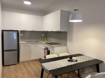 ZNÍŽENÁ CENA 2-izbový apartmán Nuppu s parkovaním - 4