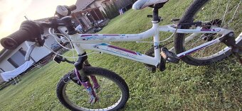 Dievčenský bicykel, 20ka - 4