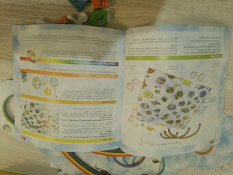 Spoločenská hra - 4