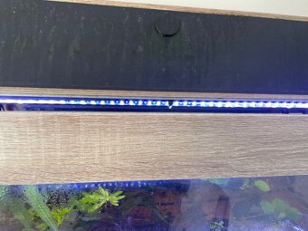 Predam akvárium 200L so skrinkou diversa - 4