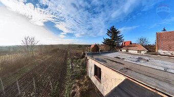 Viničný domček s veľkým pozemkom a krásnym výhľadom, Vráble - 4